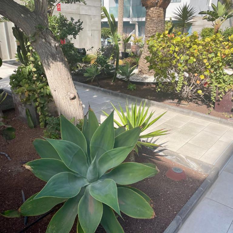 Bristol Sunset Beach PRIVATE apartment - Apartamento de 2 dormitorios - 26