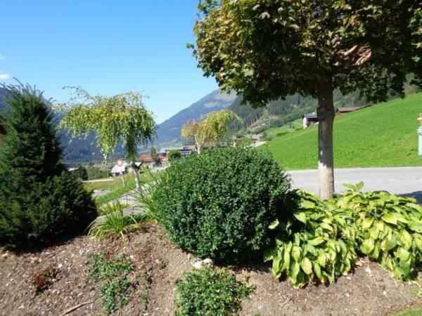 Wittwerhus - Apartment mit 2 Schlafzimmern und Dusche - 14