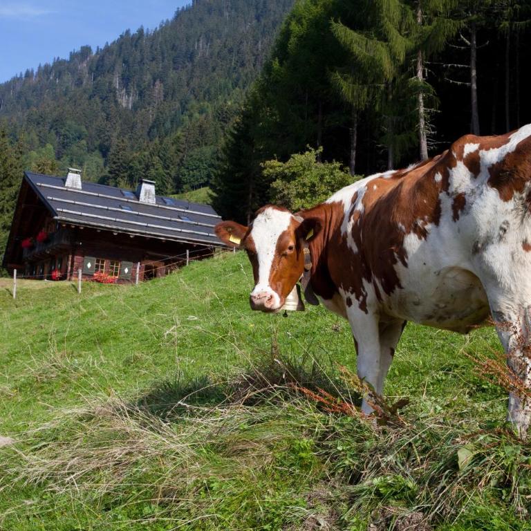Le Chalet de Lara - Chalet - 27