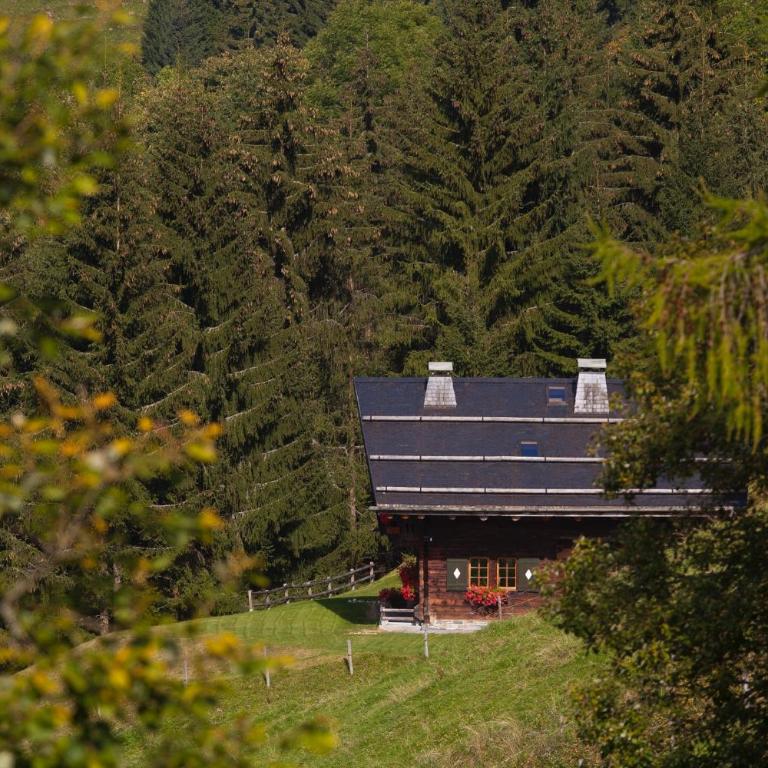 Le Chalet de Lara - Chalet - 28