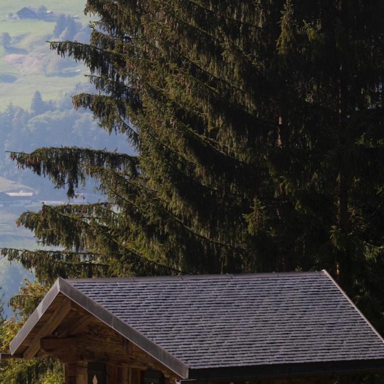 Le Chalet de Lara - Chalet - 29