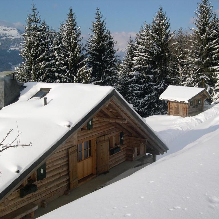 Le Chalet de Lara - Chalet - 49