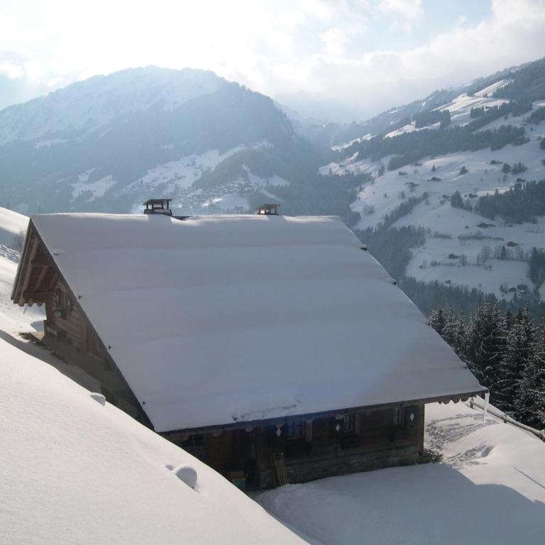 Le Chalet de Lara - Chalet - 50