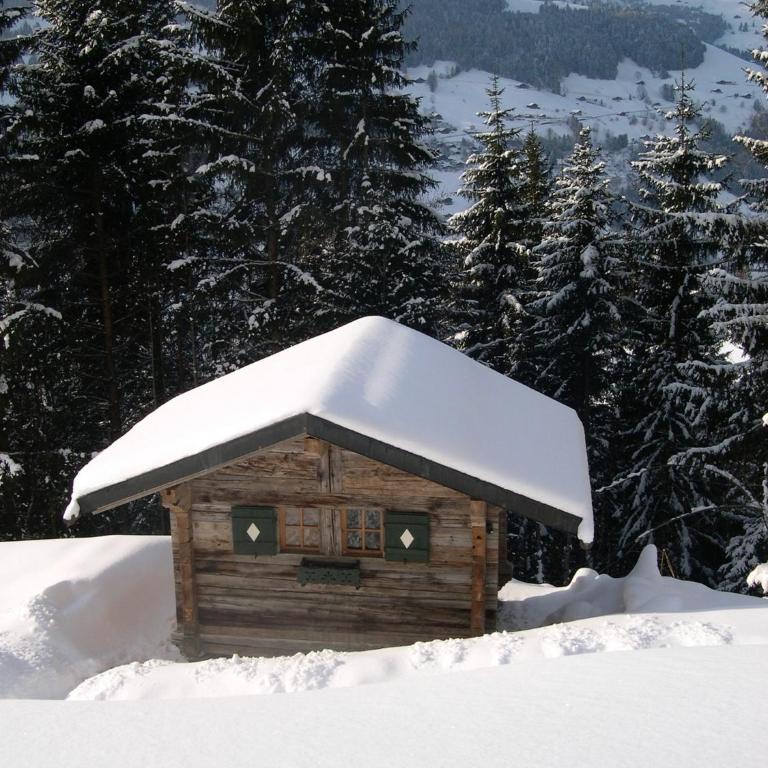 Le Chalet de Lara - Chalet - 51