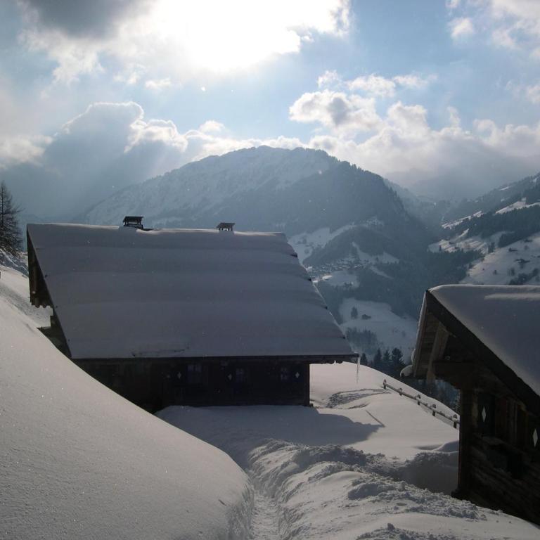 Le Chalet de Lara - Chalet - 52