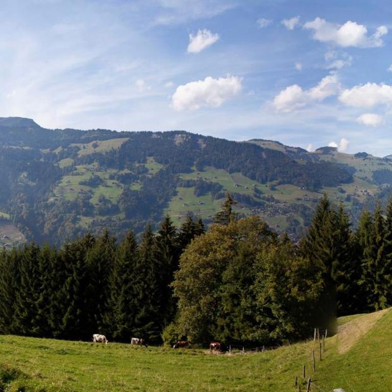Le Chalet de Lara - Chalet - 54