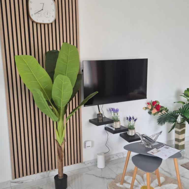 LE COCON Cozy studio, parking, stadium, and shops - Appartamento con 2 Camere da Letto - 8