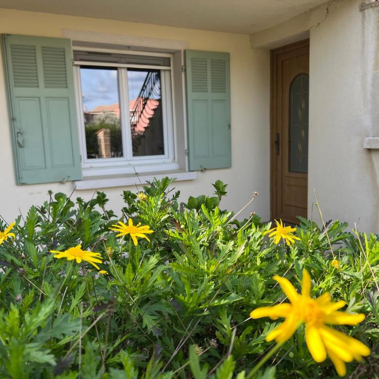 Logement climatisé avec immense terrasse pour 4 personnes - Appartement 2 Chambres - 21