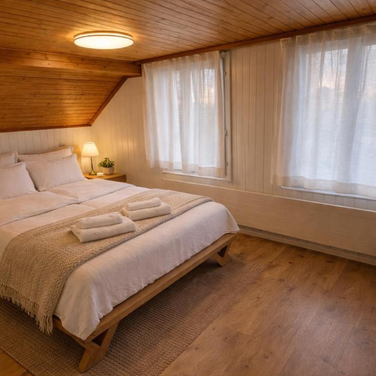 Modern 2BR Loft in Historic Swiss Chalet 200m from Interlaken West - Apartment - 4