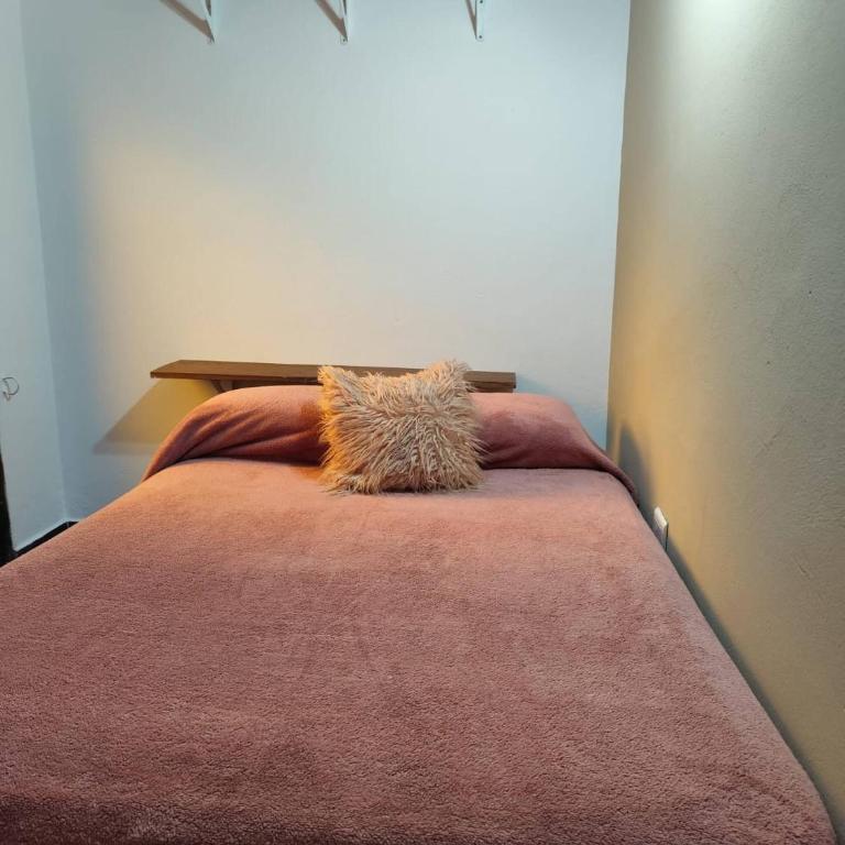 Studio apartment, Special winter - Casa - 18