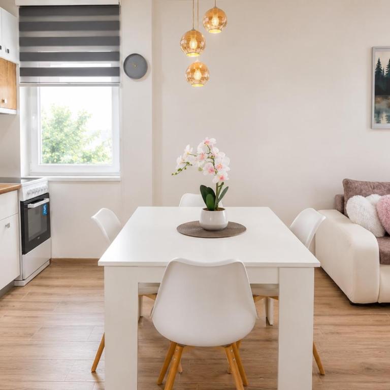 Teona 2 - Appartement 1 Chambre - 9