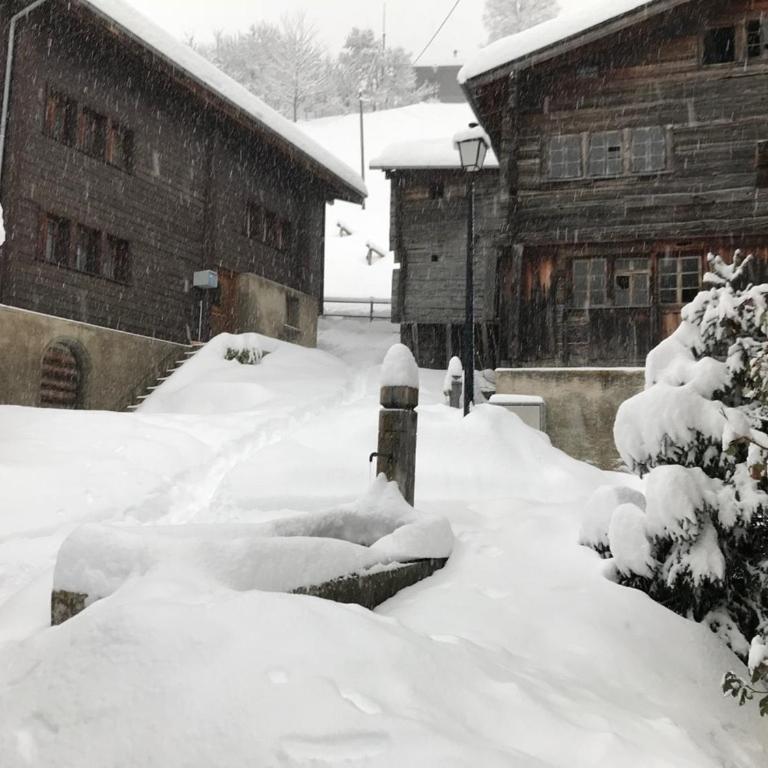 Charmantes Chalet Bijou in der Aletschregion - Chalet - 10