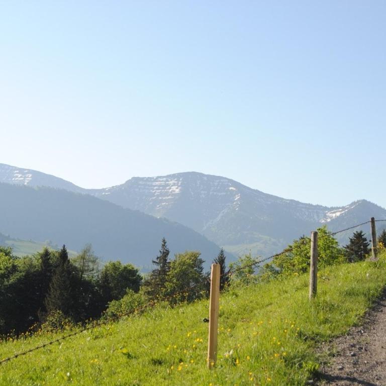 Ferienwohnung "Allgäu Glück" - Apartment mit 2 Schlafzimmern - 63