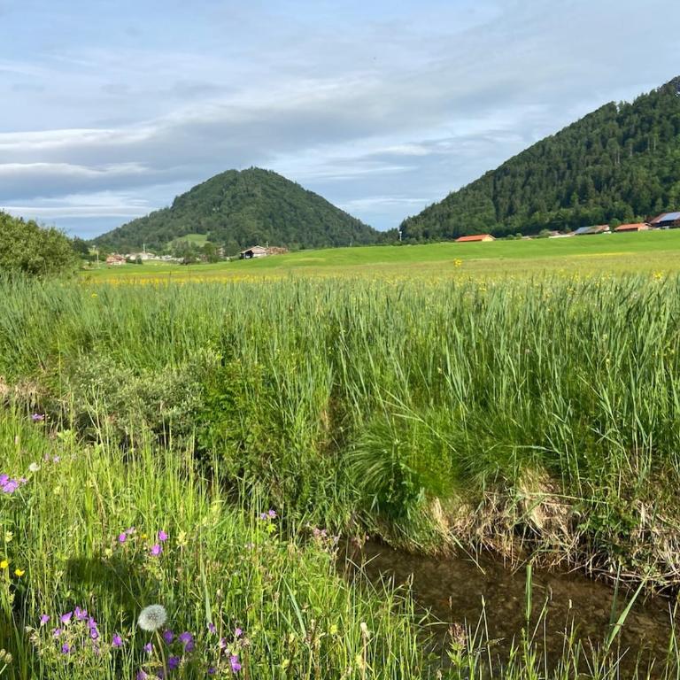 Ferienwohnung "Allgäu Glück" - Apartment mit 2 Schlafzimmern - 70
