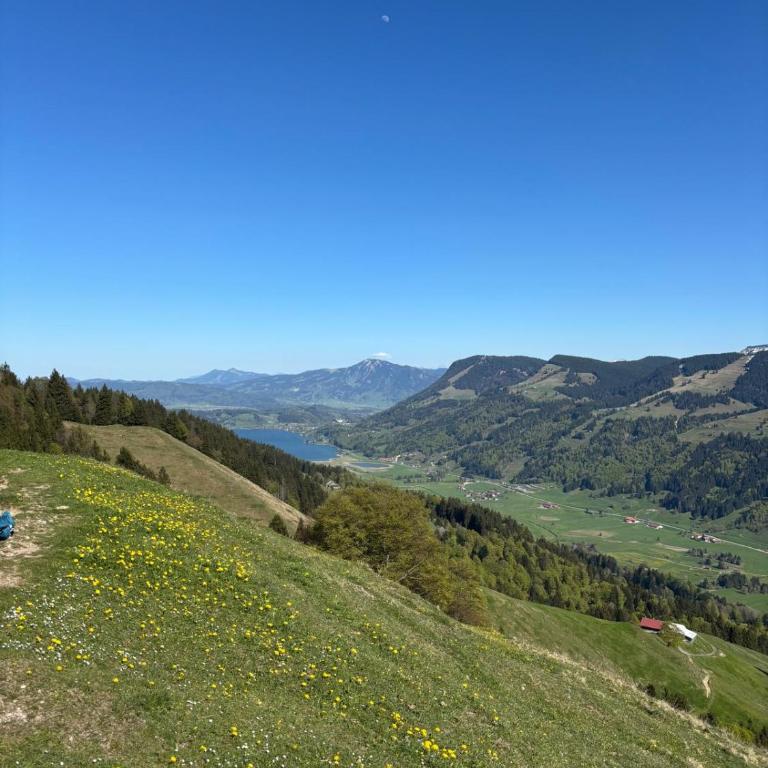 Ferienwohnung "Allgäu Glück" - Apartment mit 2 Schlafzimmern - 72