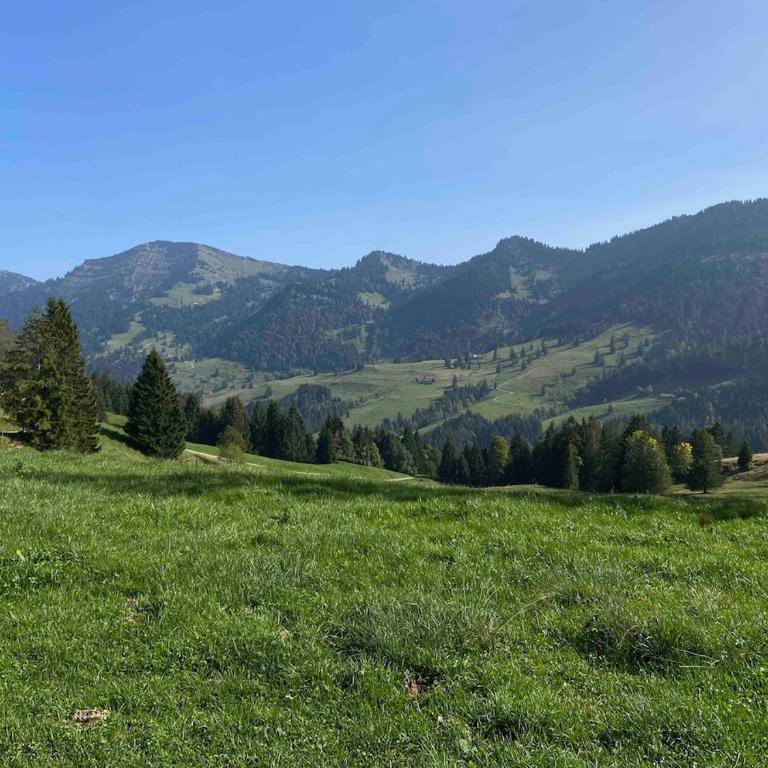 Ferienwohnung "Allgäu Glück" - Apartment mit 2 Schlafzimmern - 87