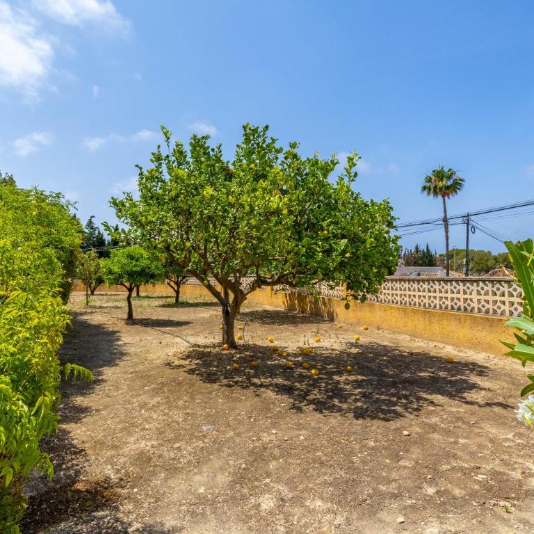 Empedrola Villa Inftour - Villa de 3 dormitorios - 44