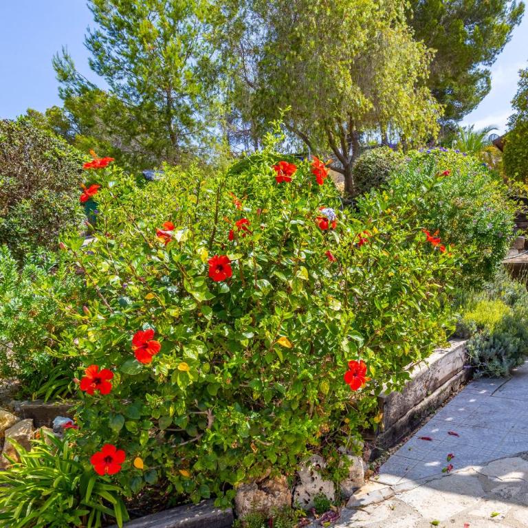 Empedrola Villa Inftour - Villa de 3 dormitorios - 45