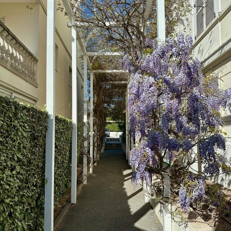 Les Palmiers de Santa Lucia Saint Raphaël - Apartamento Deluxe de 2 dormitorios con vistas al mar - 10