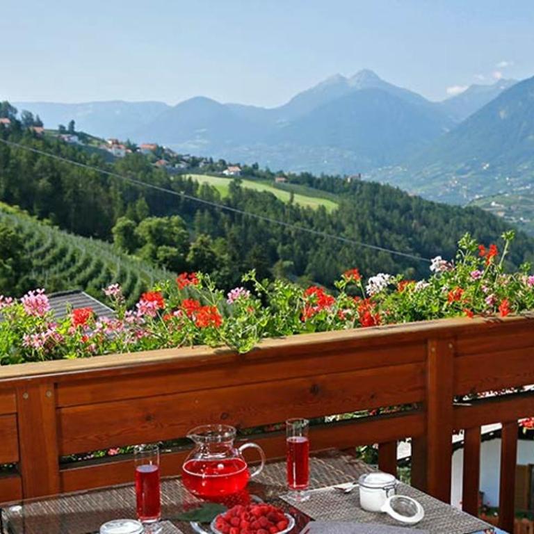 Berg-Weiler-Obereggerhof - Appartamento con Vista Montagna - 8