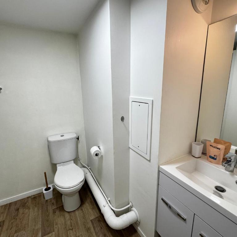 Studio Central Cosy - Appartement 1 Chambre - 5