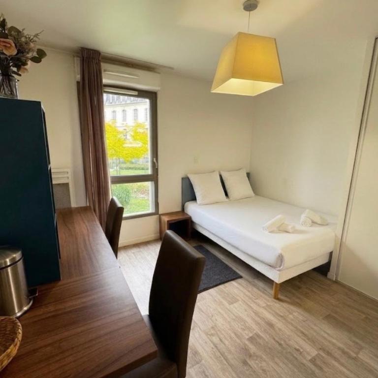 Studio Central Cosy - Appartement 1 Chambre - 1