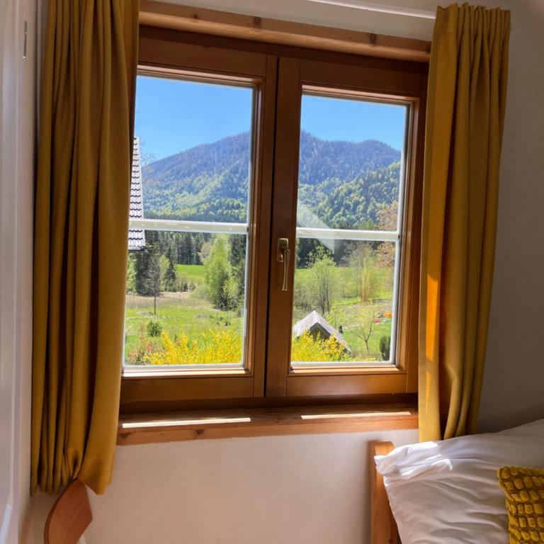 Ferienwohnung Gaiswinkler - Studio - Vue sur Montagne - 6