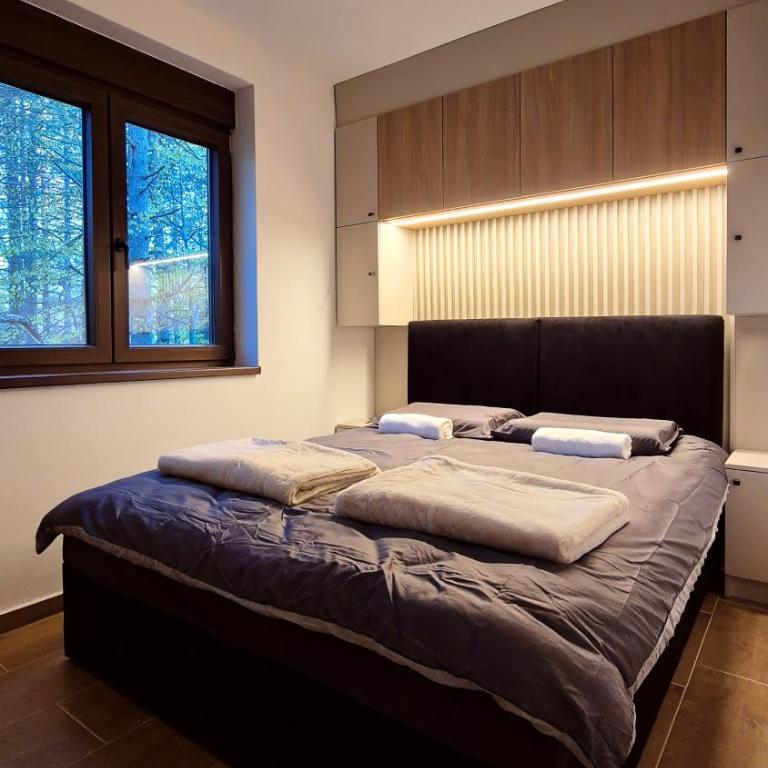 Forest Loft - One-Bedroom Apartment - 15