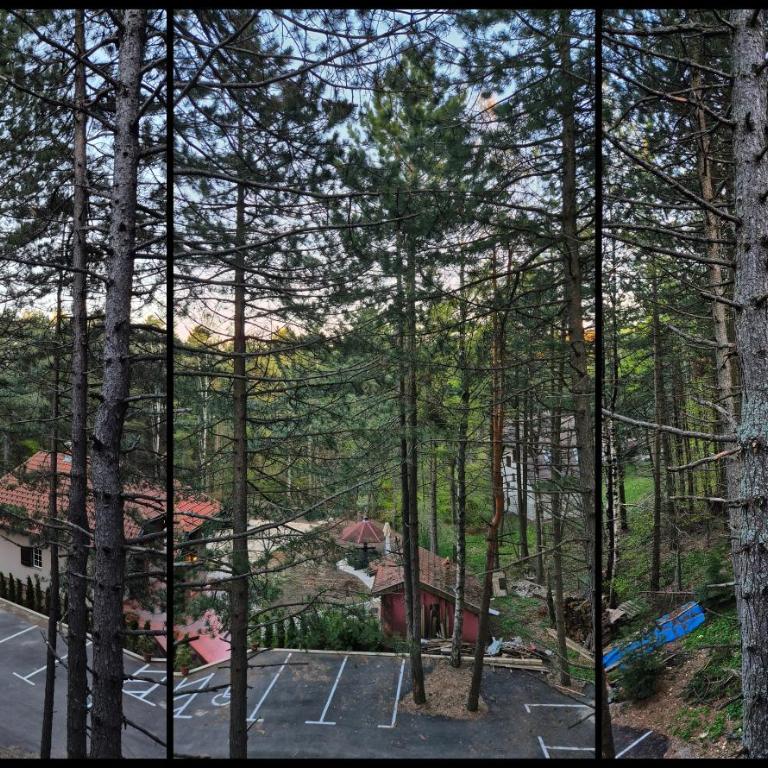 Forest Loft - One-Bedroom Apartment - 19