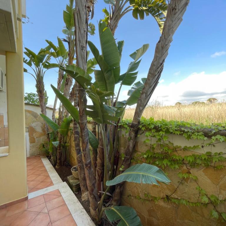 Baia verde 71 - Appartamento con 3 Camere da Letto - 26