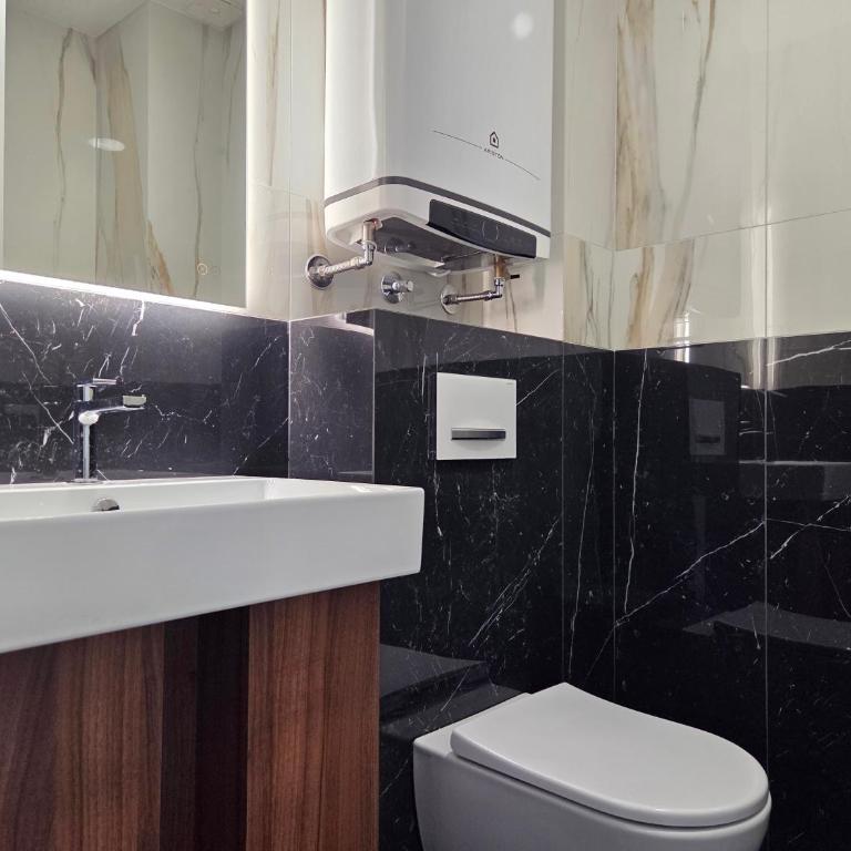 Paster Plaza deluxe apartments - Deluks Apartman sa 3 Spavaće Sobe - 6