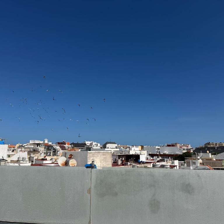 Atico con gran terraza - Apartamento de 1 dormitorio - 36