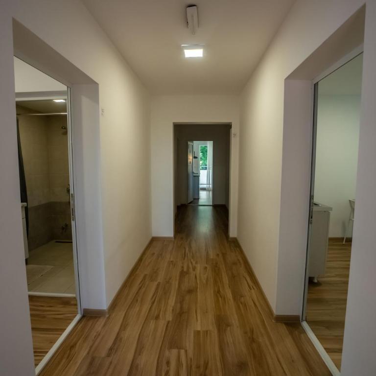 Smeštaj Milutinn-Jabuka, centar Sokobanje, iza Miloševog konaka - One-Bedroom Apartment - 22