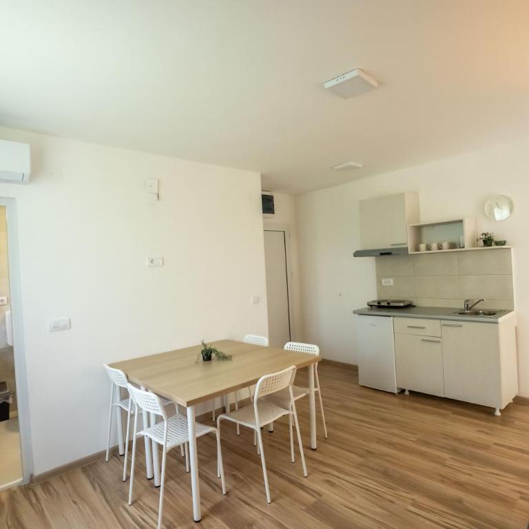 Smeštaj Milutinn-Jabuka, centar Sokobanje, iza Miloševog konaka - One-Bedroom Apartment - 4