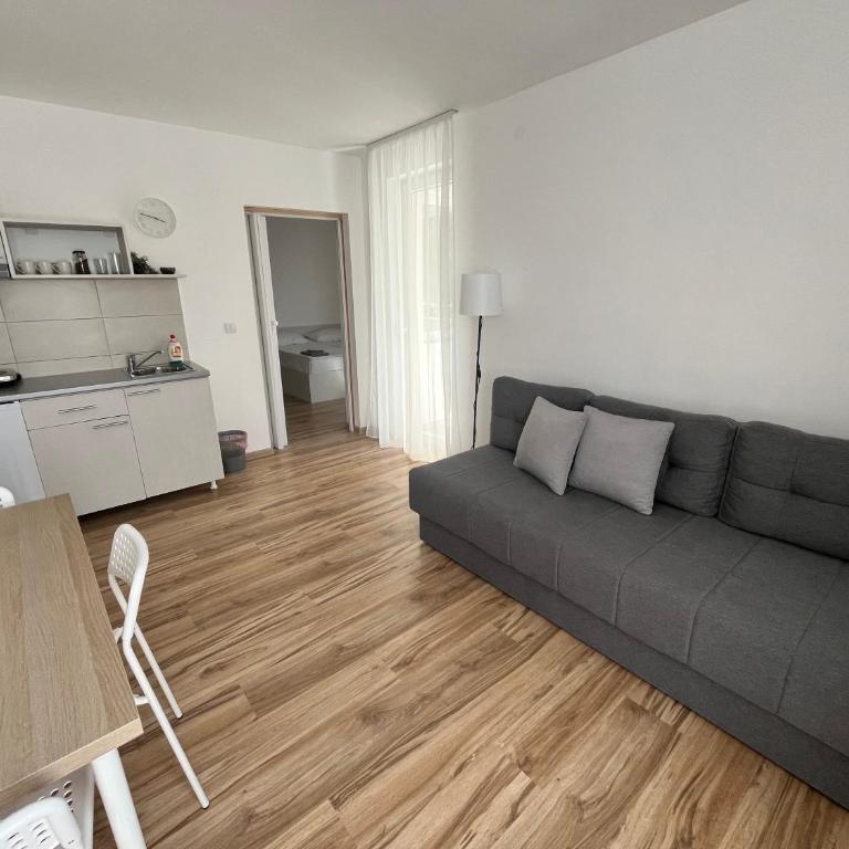 Smeštaj Milutinn-Jabuka, centar Sokobanje, iza Miloševog konaka - One-Bedroom Apartment - 8