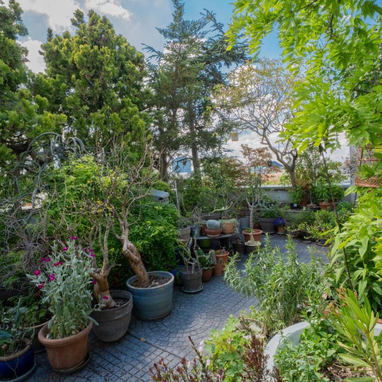 Belvédère - Le Jazzman - Appartamento con 2 Camere da Letto e Vista Città - 25