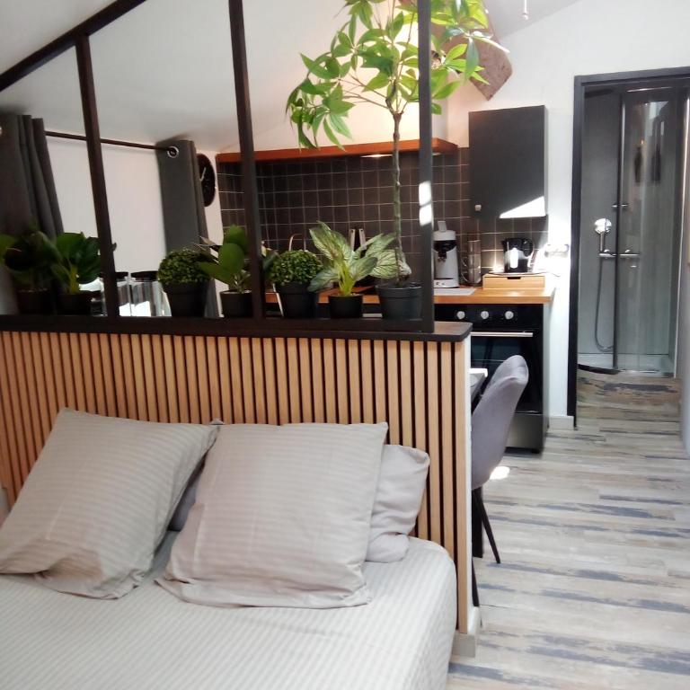 Appartement sous les remparts - Monolocale Deluxe - 14