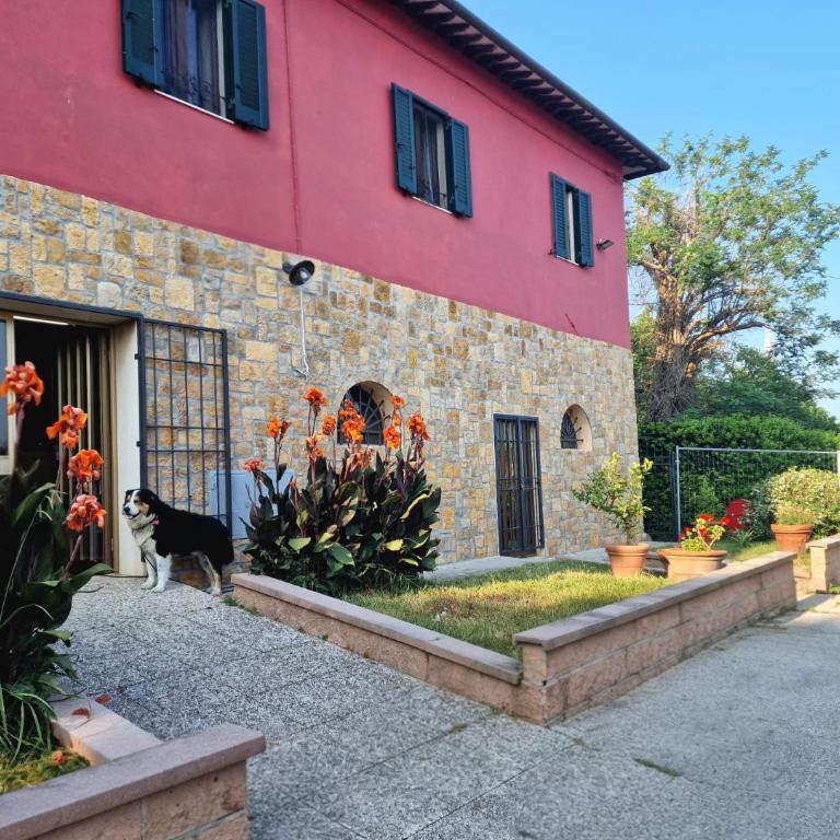 La Garitta - Tuscany Suites & Apartments 10 min Pisa-Livorno-Sea - Free Park AC - Appartamento Deluxe con 1 Camera da Letto e Vista Giardino - 4