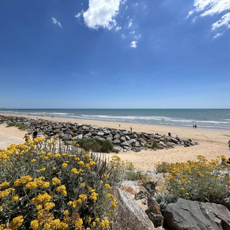 Appartement 2 pièces avec balcon à 100m de la plage - Saint-Hilaire-de-Riez - FR-1-224C-37 - Apartment (4 Erwachsene) - 17