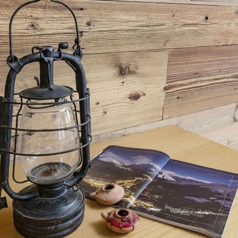 Chalet Sozzine - Appartamento - 11