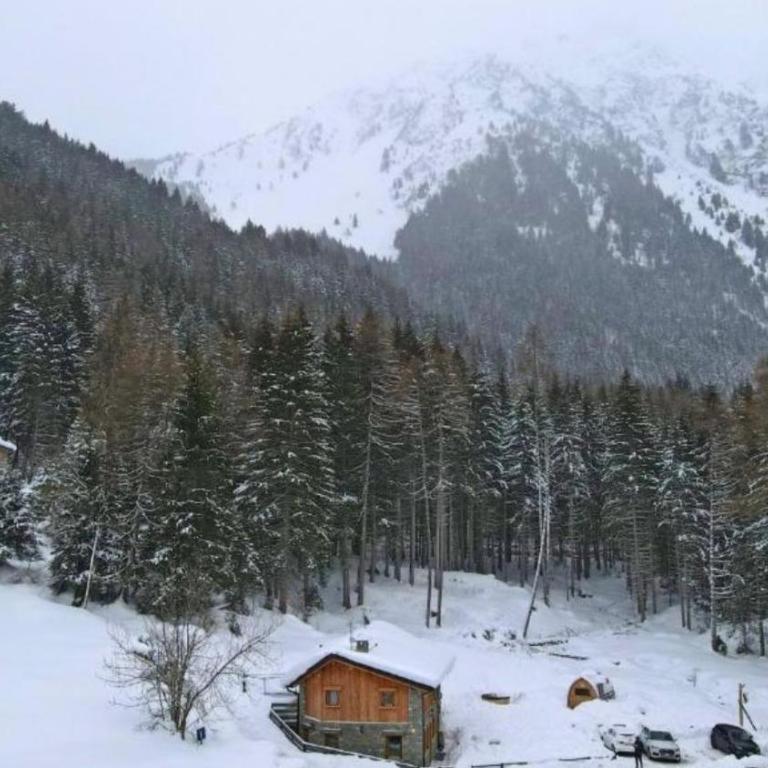Chalet Sozzine - Appartamento - 52