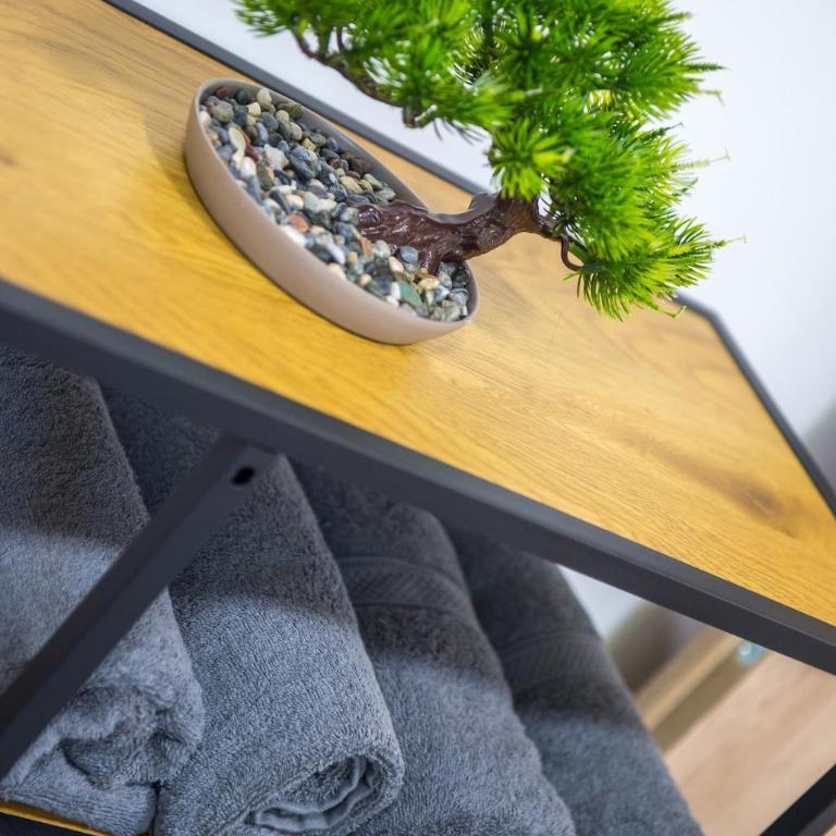 Mostaria Apartment - Apartman sa 1 Spavaćom Sobom - 42