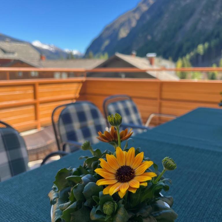 Ferienhaus Alpenblick, ganzes Ferienhaus, 5 Zi, 4 Bäder, gratis Parkplatz, Sonnenterrasse - Haus mit 5 Schlafzimmern - 11