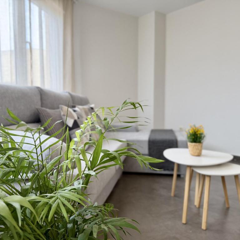 Dragos Suites 204 - Apartamento de 3 dormitorios - 5