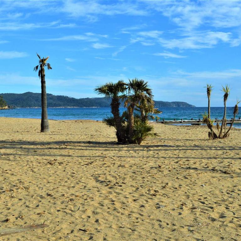 Appartement avec Terrasse, Clim, Parking Privé - Cavalaire-sur-Mer - FR-1-226B-153 - Appartamento (4 Adulti) - 20