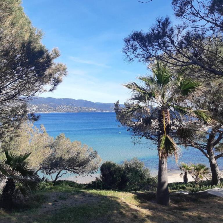 T2 climatisé avec piscine, parking - Bormes-les-Mimosas - FR-1-610-6 - Apartment (4 Adults) - 11