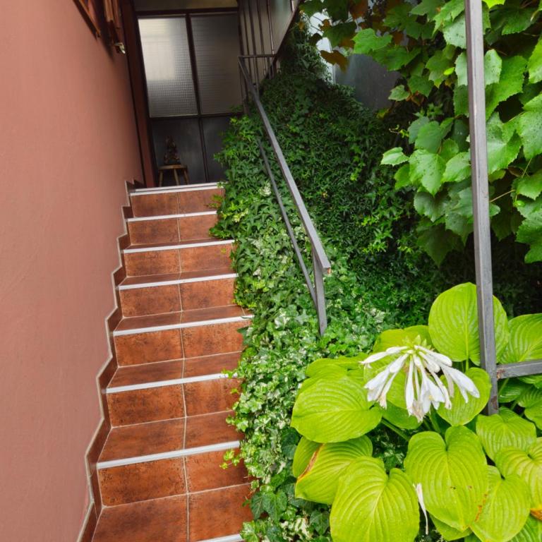 Apartman Svila - Apartman sa 1 Spavaćom Sobom - 14