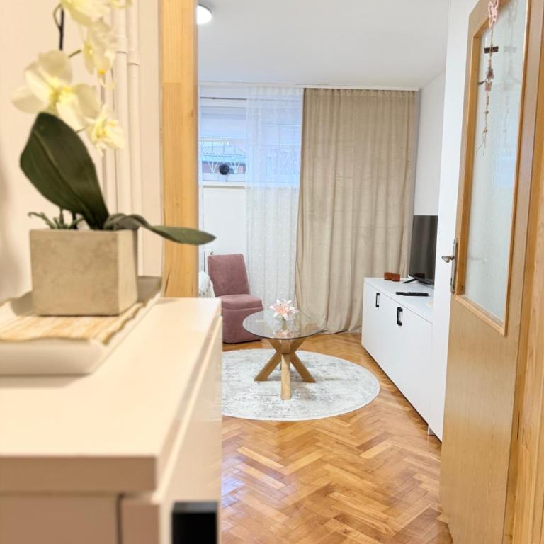 Cozy & Quiet Apartment Sarajevo - Apartman sa 1 Spavaćom Sobom - 11