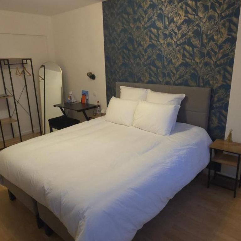 Grande chambre calme et confortable Centre Strasbourg Gare - Chambre Double Supérieure - 1