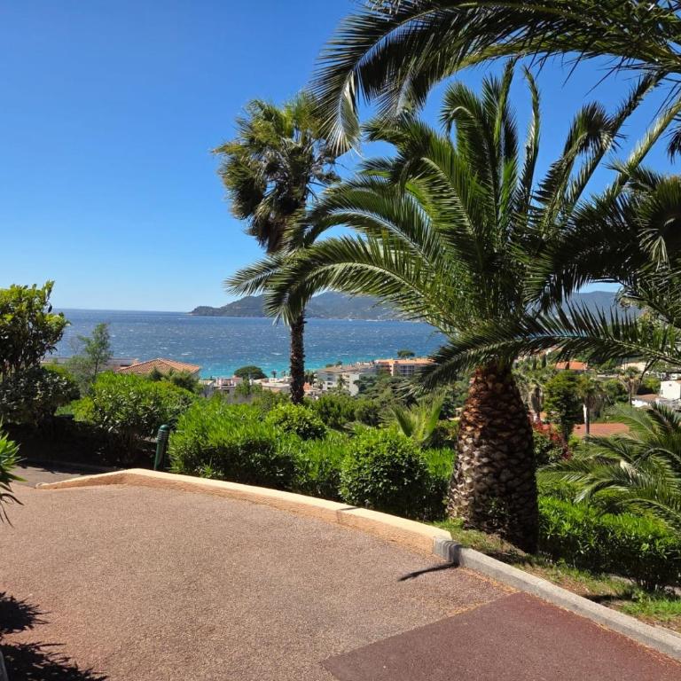 Villa Francia T1bis, 4P, Parking, Terrasse vue mer, Piscine, Tennis - Apartment mit 1 Schlafzimmer - 22